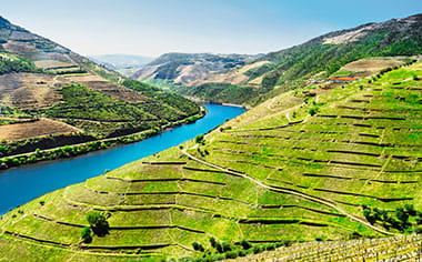 Vineyards near Pinhao, Portugal